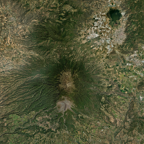 Colima 3D Model